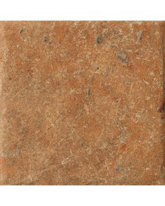 COTTO DEL CAMPIANO COTTO DORATO 20X20