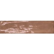 Harmony Aqua Brown 6x24,6 Glossy /0,50m2/
