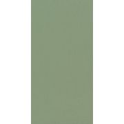 CHROMAGIC GREEN GURU RET 60X120