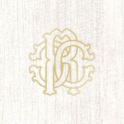 Roberto Cavalli Tws Wood Logo Blanc 200x200
