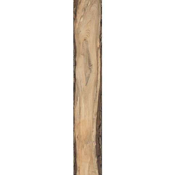 Rondine Sherwood Oak 24x150
