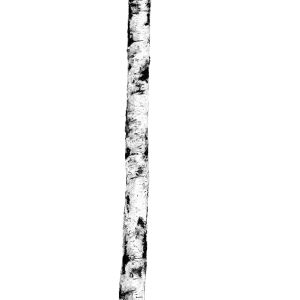 Cotto d'Este Kerlite Wonderwall Non Definito Natura 100x300 3,5mm Ritmi 01 /3Szt./