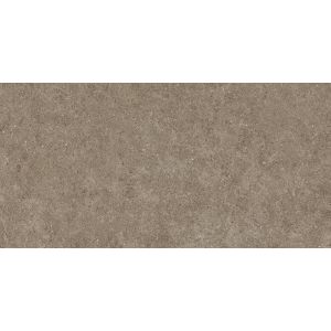 Boost Stone Taupe 60x120  