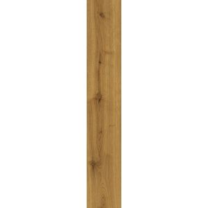 Exence Amber 20x120