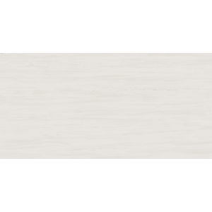 Marvel Bianco Dolomite 120x240 Lapp.