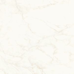 Marvel Calacatta Delicato 120x120 Lapp.