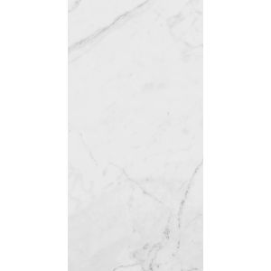 La Faenza TREX3 TREX 12W RM 60x120 /1,44m2/