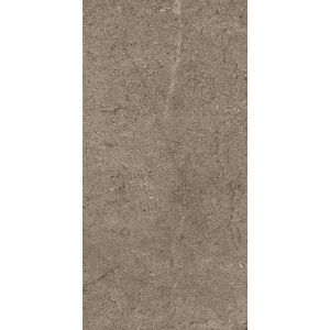 Cercom Archistone Taupe R11 30x60