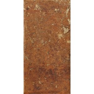COTTO DEL CAMPIANO COTTO DORATO R11 20X40