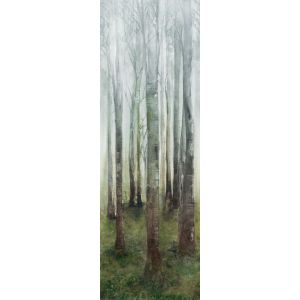 Cotto d'Este Kerlite Wonderwall Non Definito Natura 100x300 3,5mm Dream A /3Szt./