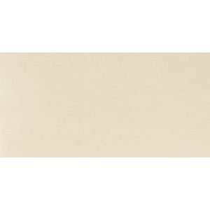 Panaria Zero.3 Experience Beige Tenue 50x100 Natura 3,5mm /2,5m2/