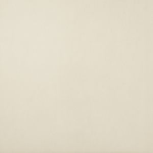 Slimtech Pigmenti  Chalk     Pls  3*1000x1000x3,5