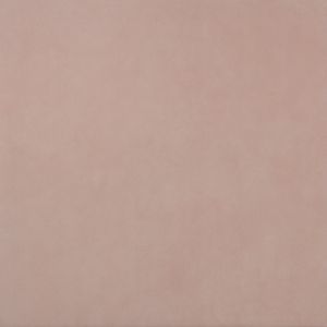 Slimtech Pigmenti  Mauve     Pls  3*1000x1000x3,5