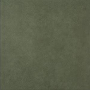 Slimtech Pigmenti  Moss      Pls  3*1000x1000x3,5
