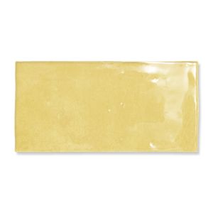 FEZ MUSTARD GLOSS