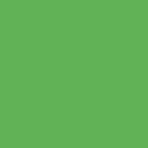 41zero42 Pixel41 38 Frog 11,55x11,55 /0,37m2/