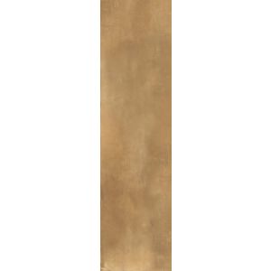 Roberto Cavalli Tws Metal Brass Rt