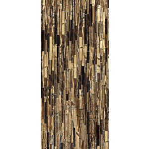 Roberto Cavalli Tws Tiger Gold Lx