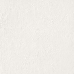 CHROMAGIC TASTY OYSTER RET 60X60
