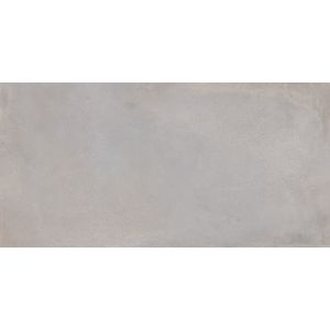 Saloni Metallo-Sa Gris 45x90 Rectificado